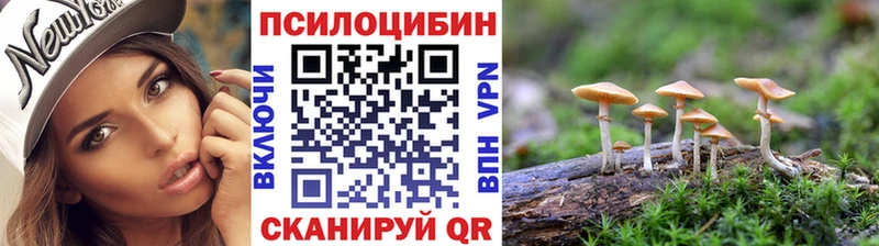купить наркотик  Валдай  Галлюциногенные грибы Psilocybine cubensis 