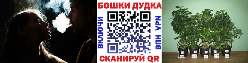 Канабис Bruce Banner  ОМГ ОМГ сайт  Валдай  закладки 